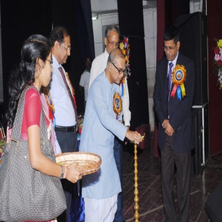 Plants: image 1 0f 4 thumb